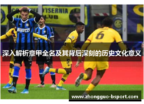 深入解析意甲全名及其背后深刻的历史文化意义