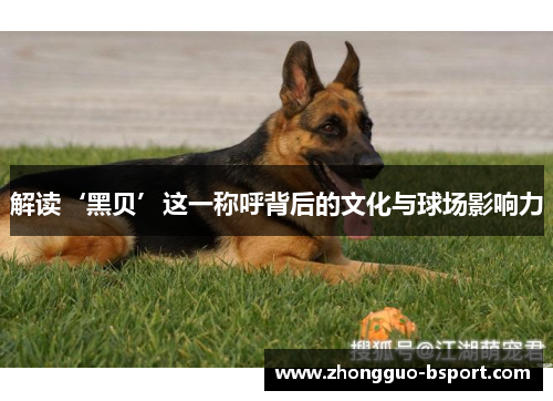 解读‘黑贝’这一称呼背后的文化与球场影响力