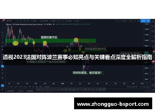 透视2023法国对阵波兰赛事必知亮点与关键看点深度全解析指南