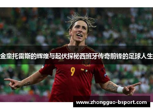 金童托雷斯的辉煌与起伏探秘西班牙传奇前锋的足球人生